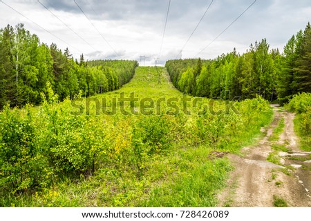 Journey on foot through uncharted roads of a national Park. Summer in the forest. Panorama of the natural landscape. 