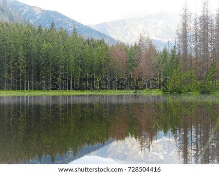 Mountain lake in the forest