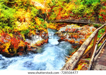 Beautiful autumn landscape.Trail through the canyon, with a beautiful fast river and cascades, and colorful forest