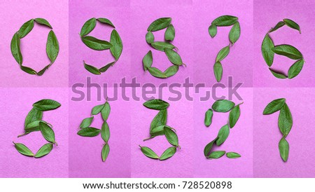 
numbers from leaves from zero to nine