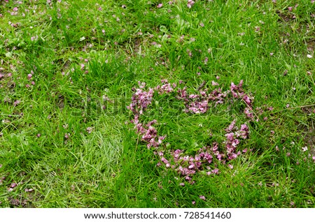 Heart symbol made of pink flower petals on green grass background with free space for copying