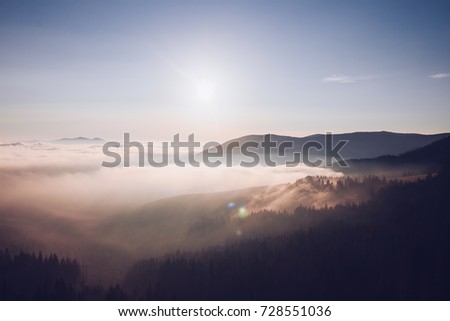 Impressive image of hills with coniferous trees in the morning light. Dramatic scene and splendid picture. Location place Carpathian, Ukraine, Europe. Explore the world's beauty. Drone photography.
