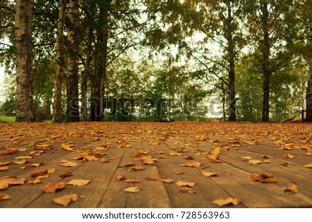 autumn dance floor