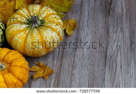 Pumpkin/squash/autumn vegetable arrangement with dried leaves on a grainy wooden background with copy space. Vintage style.