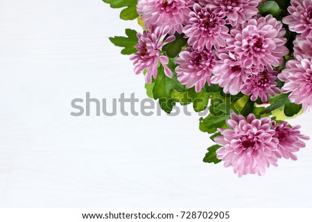 bouquet of lilac chrysanthemums on a light background top view / festive floral greeting