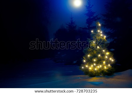 Decorated christmas tree outdoor with christmas lights with moon.