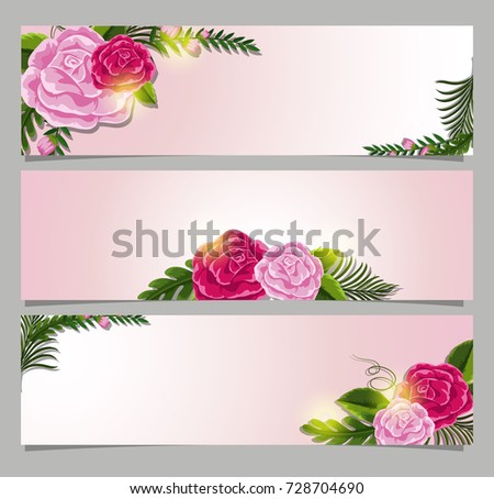 Three rectangle banner with pink roses illustration