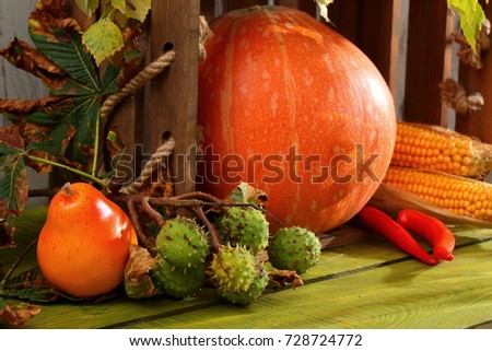 Vegetables that appear at the beginning of autumn time.