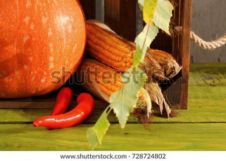 Vegetables that appear at the beginning of autumn time.