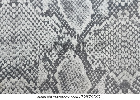 Dray Background Made of Skin of a Snake or Skin of a Reptile, Crocodile and Lizard.