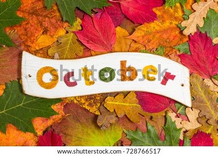letters of a white plate, on a background of leaves. Word of October