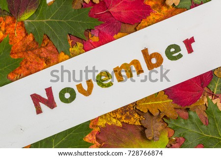 letters of a white plate, on a background of leaves. Word of November