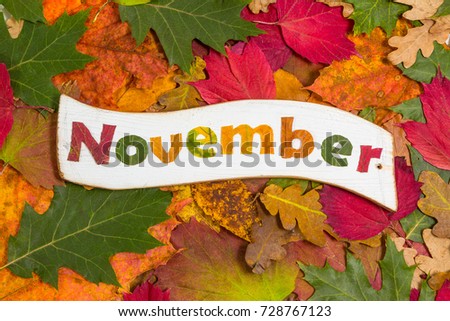 letters of a white plate, on a background of leaves. Word of November