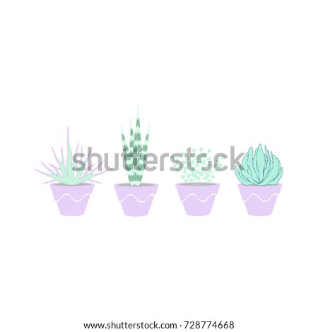 Set of 4 succulents in pink pots.