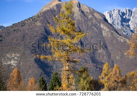 The beautiful autumn colors of the mountains