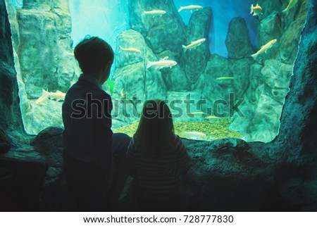 little boy and girl watching fishes in aquarium