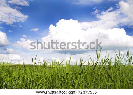 Green field and a blue sky with clouds.