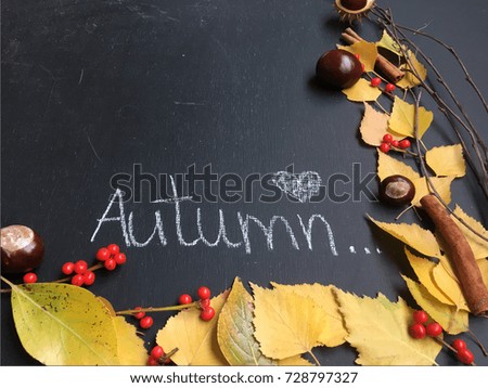 concept autumn wallpaper. autumn leaves on black chalkboard with space for your text.autumn love