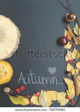 concept love autumn wallpaper