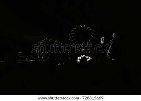 The splendid fireworks festival decorated with the night sky in Busan.
