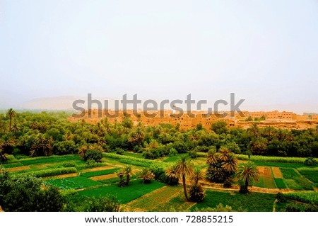 Landscape of rural area, Morocco