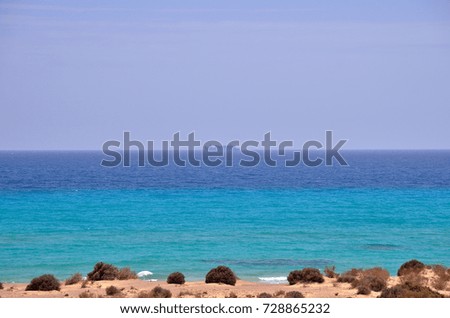clear sand beach on island - fuerteventura. atlantic ocean
