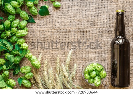 Bottle and Glass beer with Brewing ingredients. Hop flower with wheat. Top view.