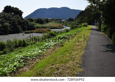 Path along the river