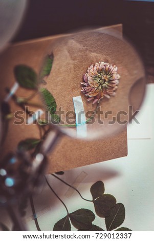 Warm still life with a clover under a magnifying glass, books, scissors, dried plants, moss and craft paper envelopes