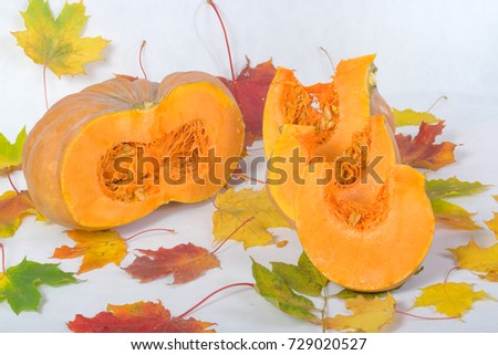 Orange pumpkin close-up