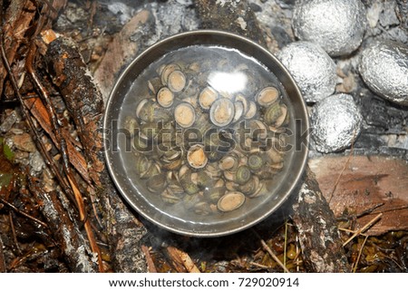 High angle view of clams boiling in pot at camp fire with baked potatoes Royalty-Free Stock Photo #729020914