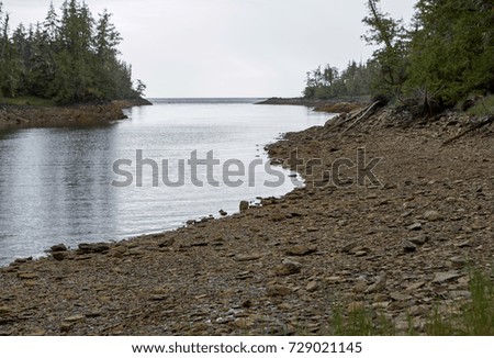 Calm tidal inlet at Foggy Bay, Ketchican, Alaska with a stony shore and forests of trees under a grey cloudy sky Royalty-Free Stock Photo #729021145