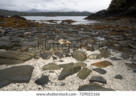 Landscape with stony shore at Foggy Bay, Alaska, USA Royalty-Free Stock Photo #729021166