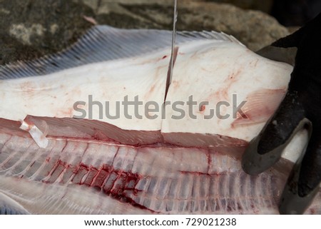 Person filleting a fish with a sharp knife in a closeup view of a hand and blade slicing through the flesh Royalty-Free Stock Photo #729021238