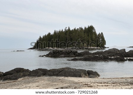 Trees on island at foggy bay, Alaska, USA Royalty-Free Stock Photo #729021268
