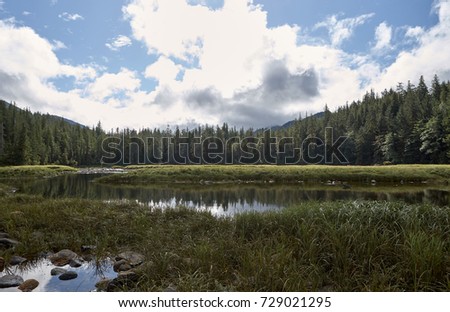 Scenic landscape of Foggy Bay, Ketchican, Alaska with calm water and forested hills under a cloudy blue sky Royalty-Free Stock Photo #729021295