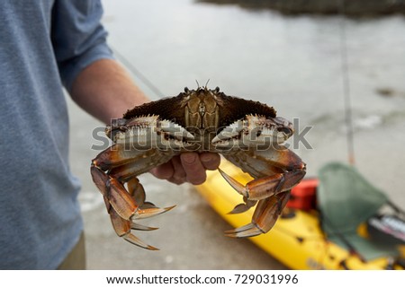 Fisherman holding a large fresh marine crab as he stands on the seashore at Foggy Bay Ketchican, Alaska Royalty-Free Stock Photo #729031996