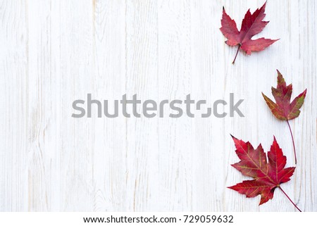 Autumn Thanksgiving Background Royalty-Free Stock Photo #729059632
