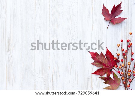Autumn Thanksgiving Background Royalty-Free Stock Photo #729059641