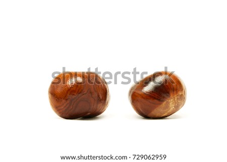 Two horse chestnuts isolated on white background.