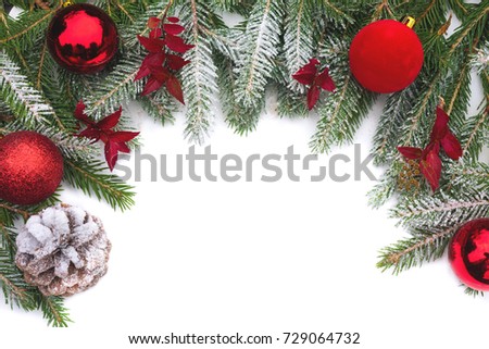 Christmas background. Branch of a Christmas tree in frost on a white background. Copy space for text
