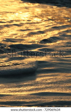 Golden reflection sunset, Pacific Ocean beach, California
