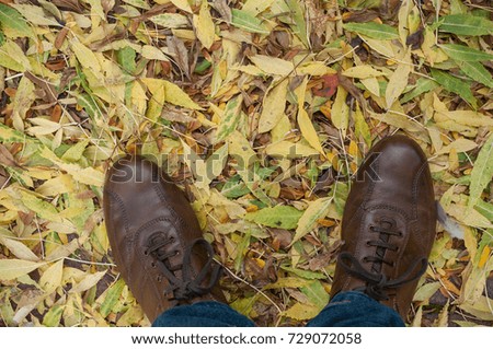 closeup of man shoes on autumnal leaves top view 