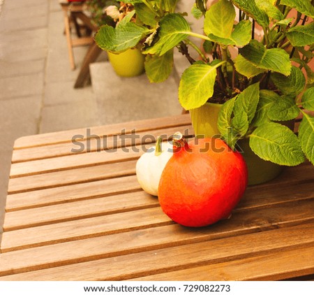 Bright orange pumpkins on wooden table. Holiday concept. Close up photography