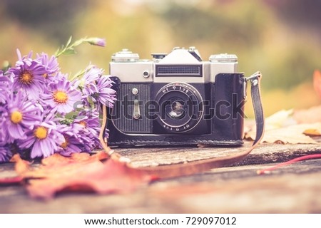 old camera on wooden background surrounded by autumn maple leaves and a bouquet of lilac autumn asters