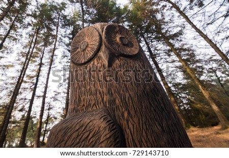 A warm brown detailed wooden owl carving, in a spooky green forest with large trees, photographed with a wide angle lens and shot from below.