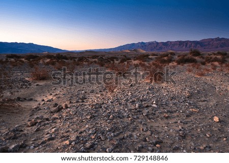 Desert After sunset at the mesquite flat Sand Dunes, Death Valley, California, USA