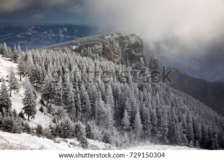 winter scene with snowy fir trees in the mountains