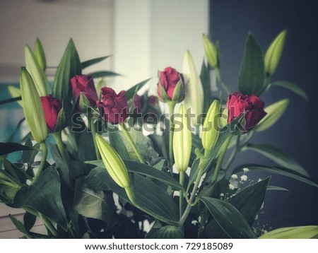 Red roses and green leaves with blurred background
