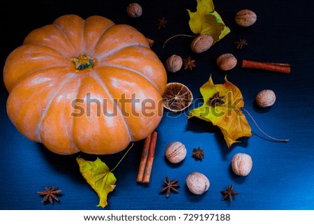 Beautiful autumn picture: whole raw pumpkin, whole walnuts, cinnamon sticks, anise stars, orange slice and dry maple leaves at black and blue background